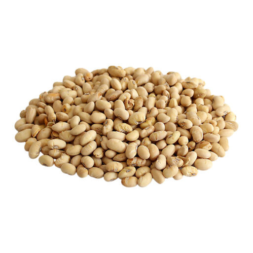 سویا آجیلی