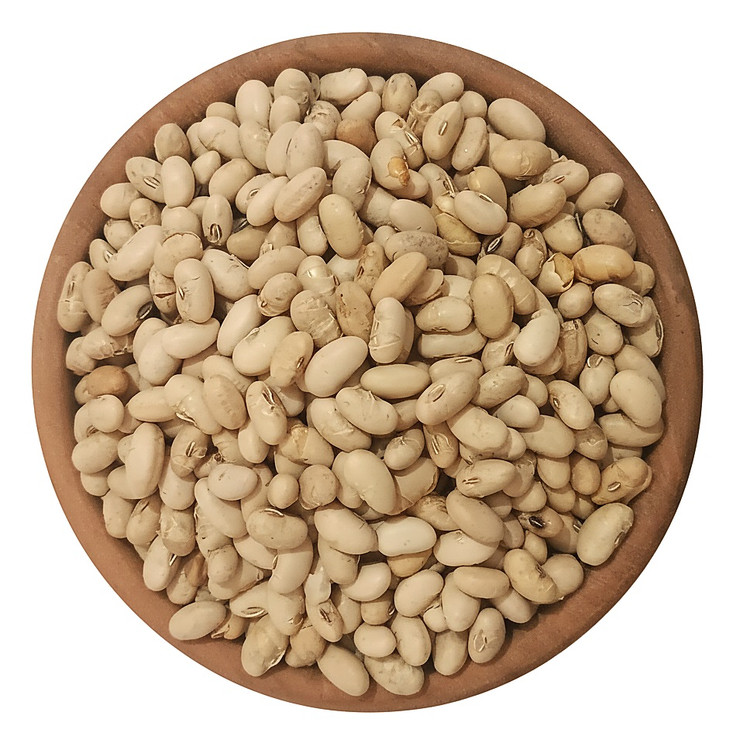 سویا آجیلی